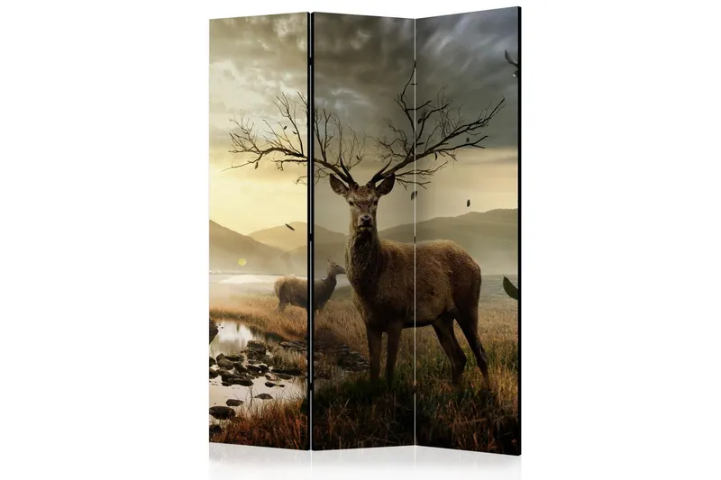 Kadira Rumsavdelare 135x172 cm - Artgeist sp. z o. o. (Art.nr 646379) — Artgeist sp. z o. o.