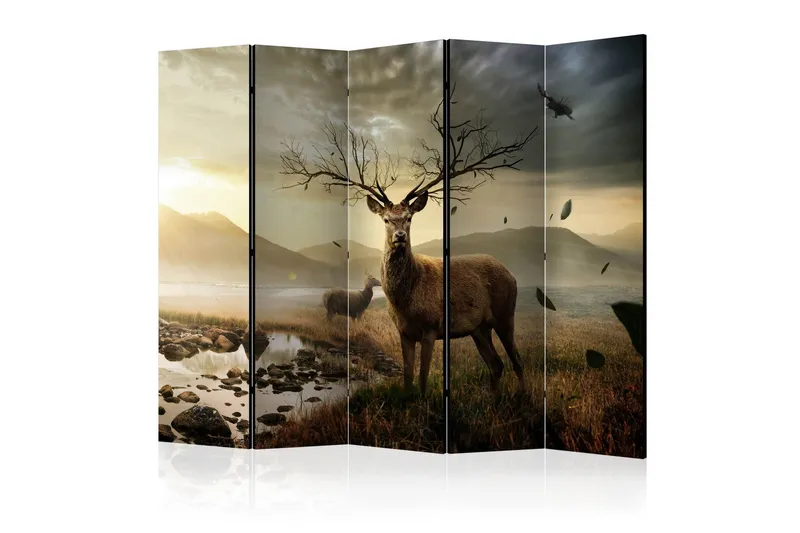 Kadira Rumsavdelare 225x172 cm - Artgeist sp. z o. o. (Art.nr 646405) — Artgeist sp. z o. o.
