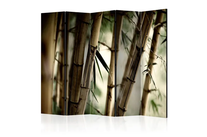 Kadira Rumsavdelare 225x172 cm - Artgeist sp. z o. o. (Art.nr 646471) — Artgeist sp. z o. o.