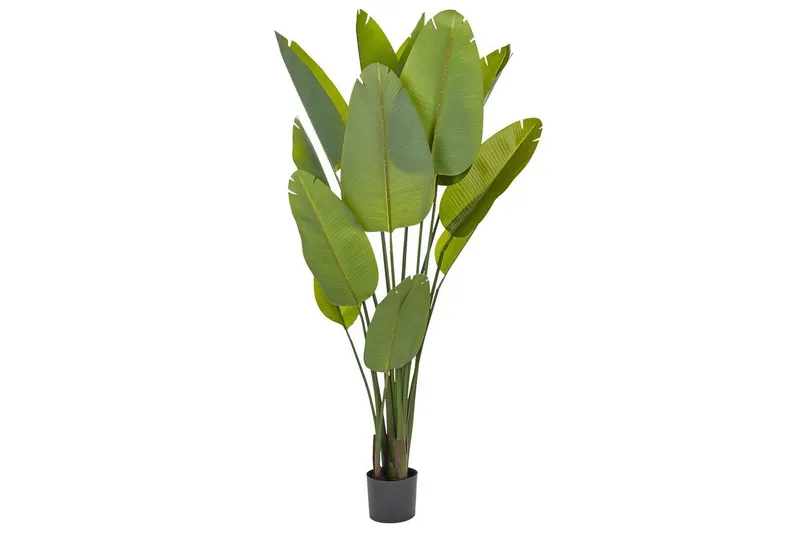 Konstgjord växt Banana Tree Grön/Svart, 115x115x187 cm - Grön/Svart, 115x115x187 cm — Grön/Svart, 115x115x187 cm