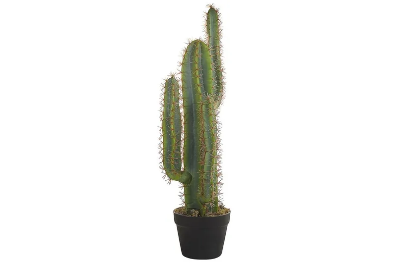 Konstgjord växt Cactus
