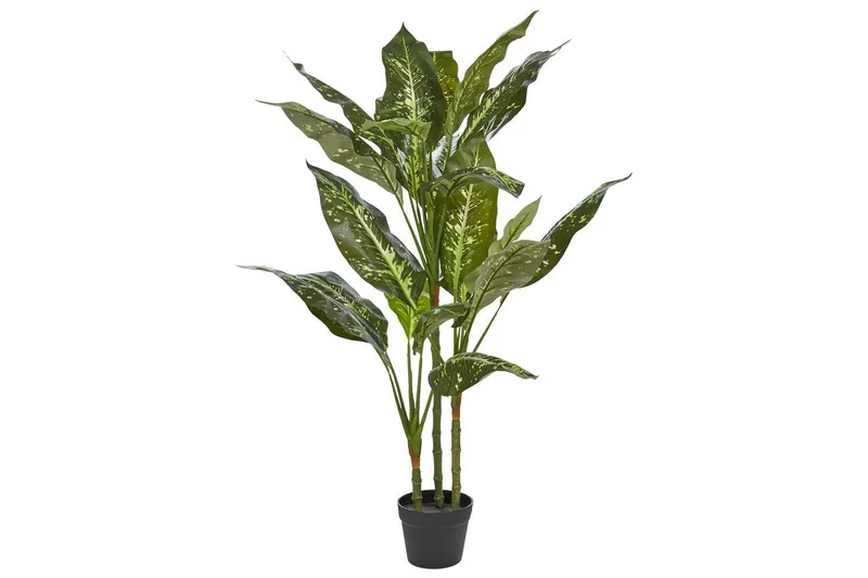 Konstgjord växt Dieffenbachia 55x55x110 cm - 55x55x110 cm — 55x55x110 cm