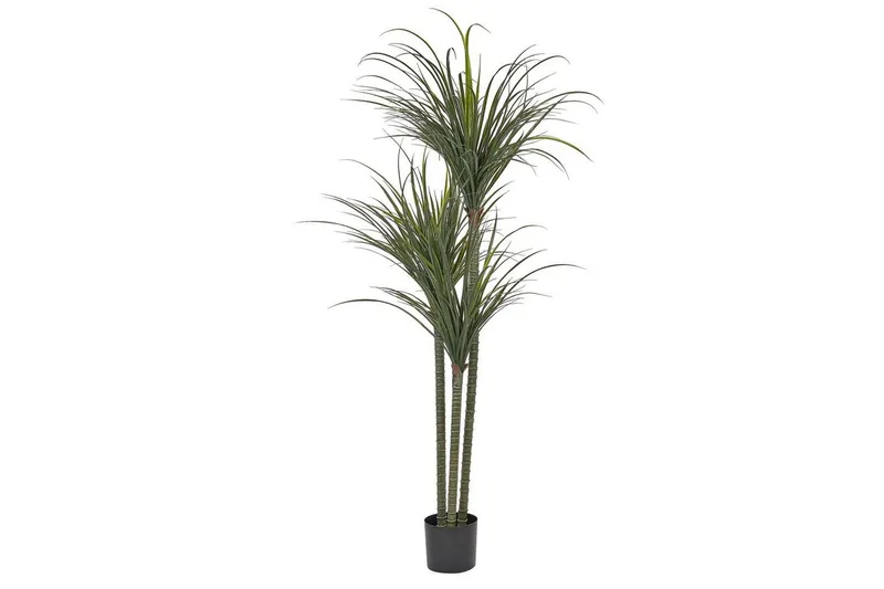 Konstgjord växt Dracaena Anita
