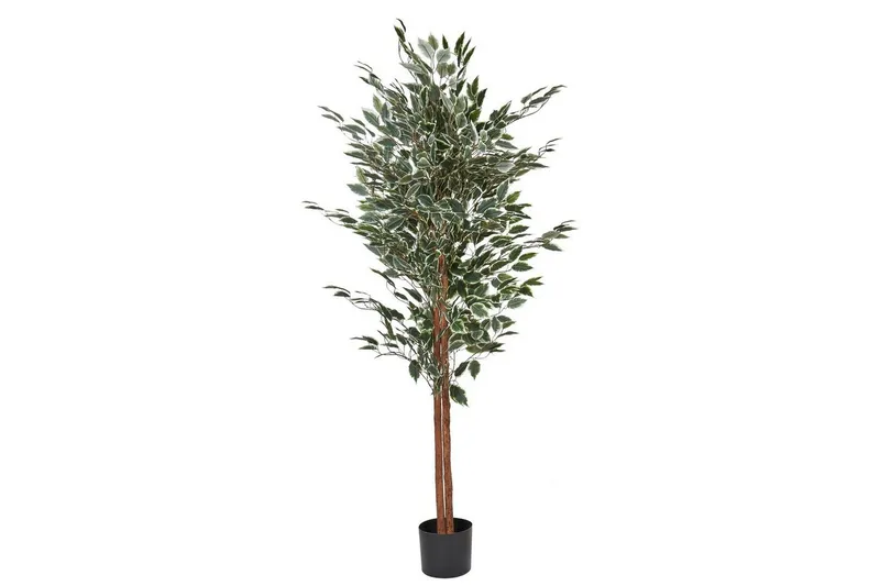 Konstgjord växt Ficus