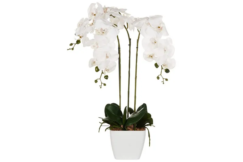 Konstgjord växt Orchid 22x22x59 cm - 22x22x59 cm — 22x22x59 cm