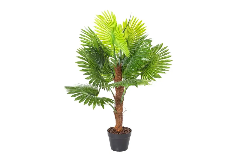 Konstväxt Fan Palm 100cm