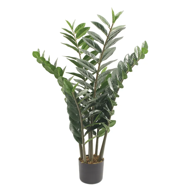 Konstväxt zansibar/garderobsblomma \| 90 cm