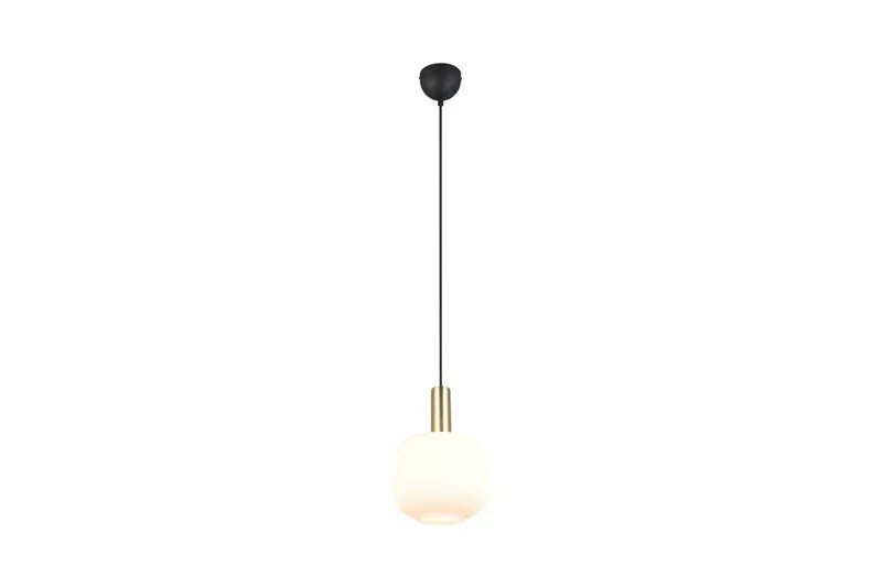 Pendel TRIO Diva 1-del, Mattmässing/vit - 1-del, Mattmässing/vit — Trio Lighting