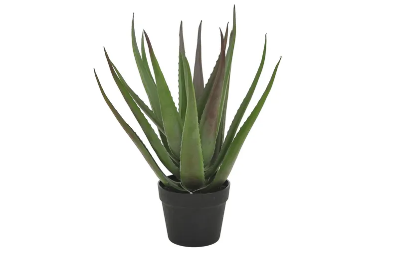 Piscode Konstgjord Växt Aloevera 50 cm - Grön — Grön