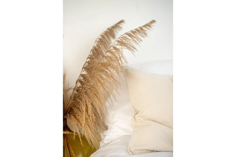 Poster Bohemian 70x100 cm - Beige — Venture Home