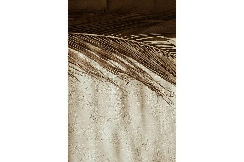 Poster Dessert 70x100 cm - Beige — Venture Home