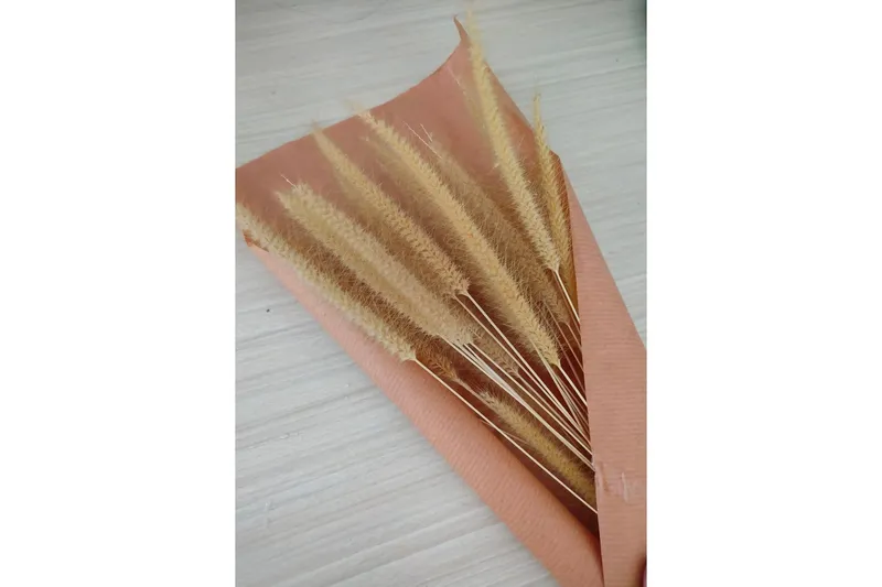 Poster Dry flowers 21x30 cm - Rosa/Beige — Venture Home