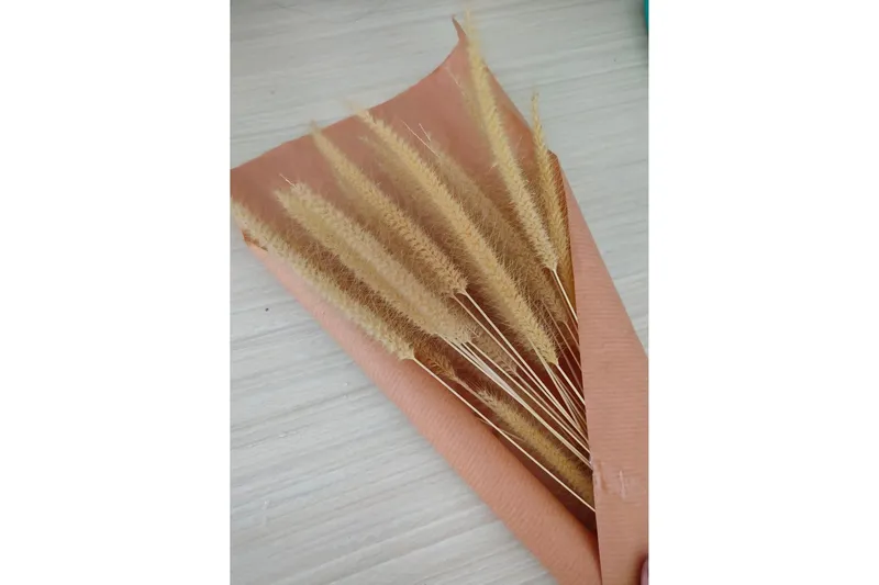 Poster Dry flowers 50x70 cm - Rosa/Beige — Venture Home