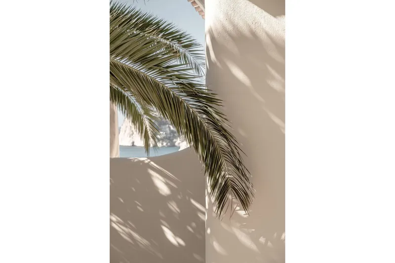 Poster Palmleaf 21x30 cm - Beige — Venture Home