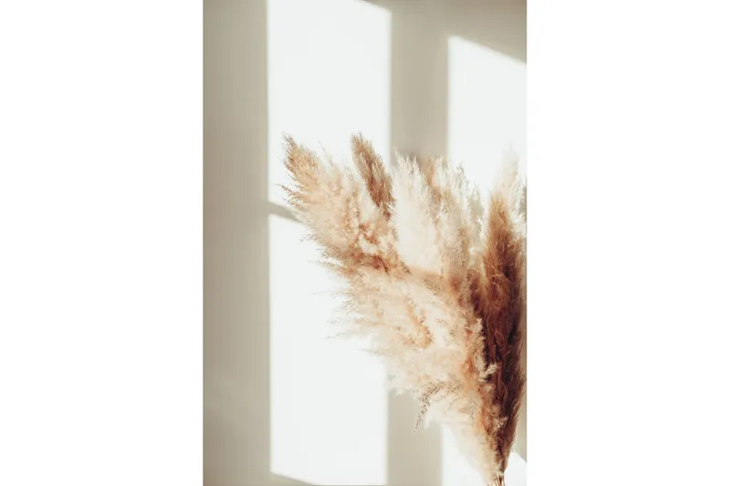 Poster Pampas 50x70 cm - Beige — Venture Home