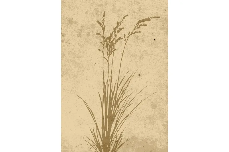 Poster Plant art 70x100 cm - Beige — Venture Home