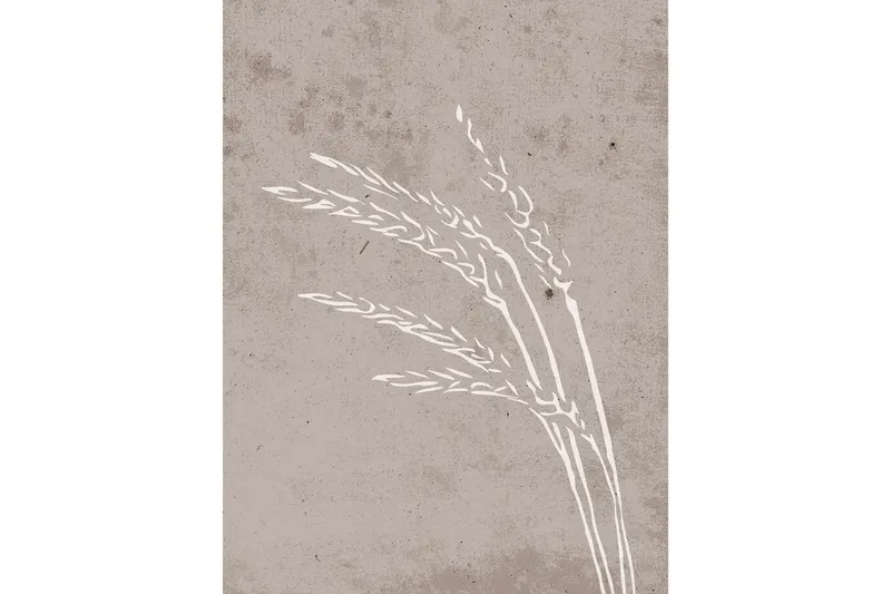 Poster Seeds 30x40 cm - Beige — Venture Home