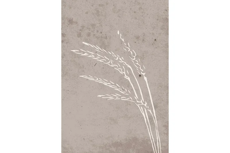 Poster Seeds 70x100 cm - Beige — Venture Home
