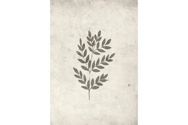Poster Spring leaf 21x30 cm - Beige — Venture Home