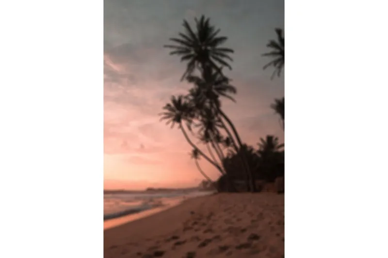 Poster Summer 21x30 cm - Rosa — Venture Home