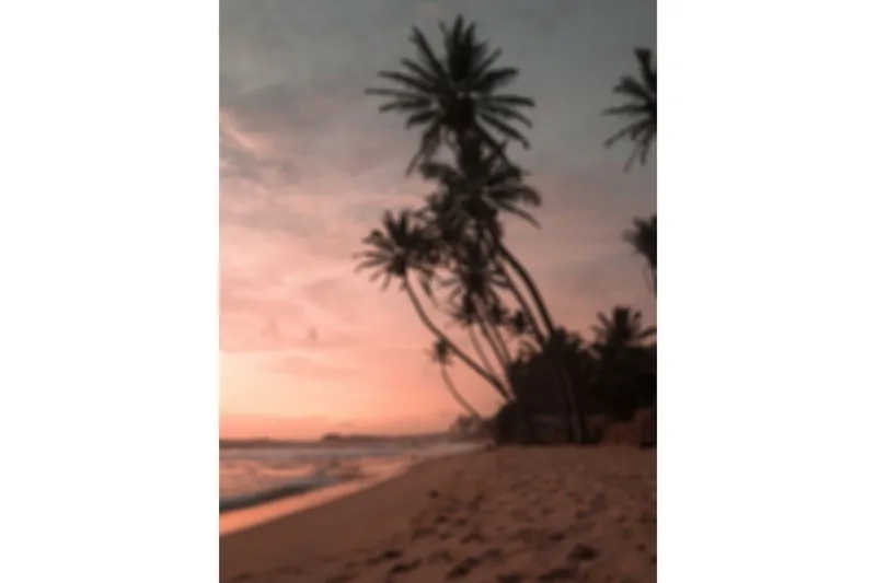 Poster Summer 30x40 cm - Rosa — Venture Home