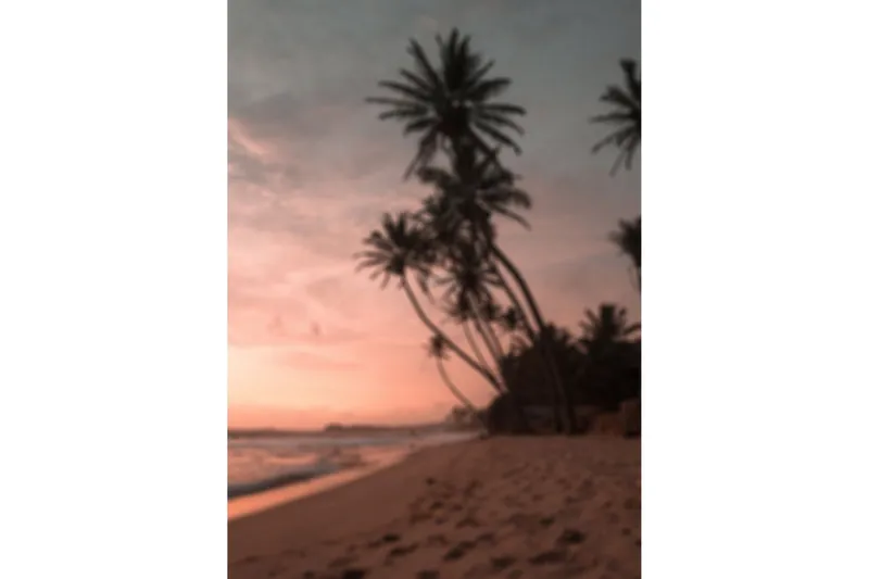 Poster Summer 50x70 cm - Rosa — Venture Home
