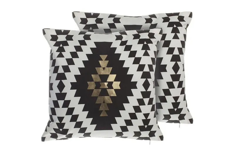 Prydnadskuddar Coleus set om 2