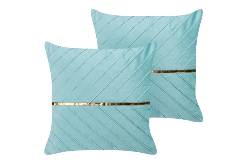 Prydnadskuddar Coneflower set om 2