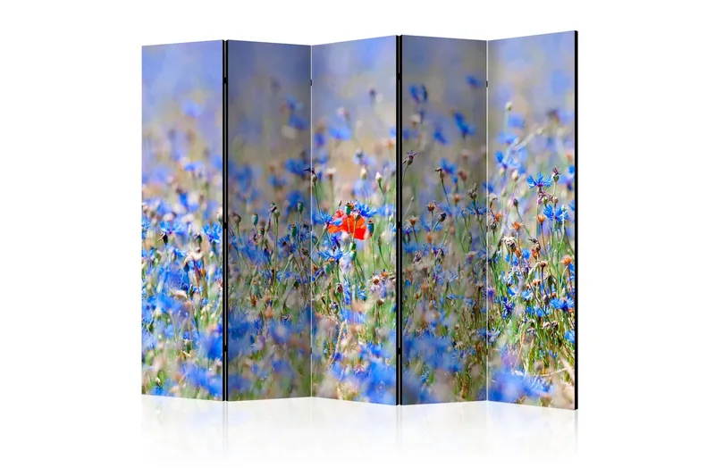 Rumsavdelare A Sky-Colored Meadow 225x172 cm - Artgeist sp. z o. o. — Artgeist sp. z o. o.