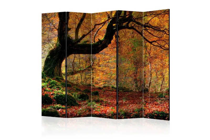 Rumsavdelare - Autumn, forest and leaves II 225x172 - Artgeist sp. z o. o. — Artgeist sp. z o. o.