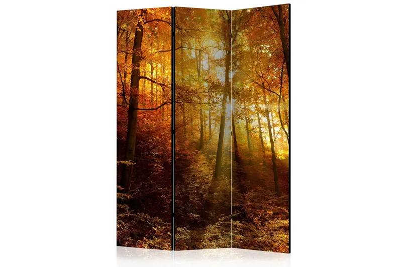 Rumsavdelare - Autumn Illumination 135x172 - Artgeist sp. z o. o. — Artgeist sp. z o. o.