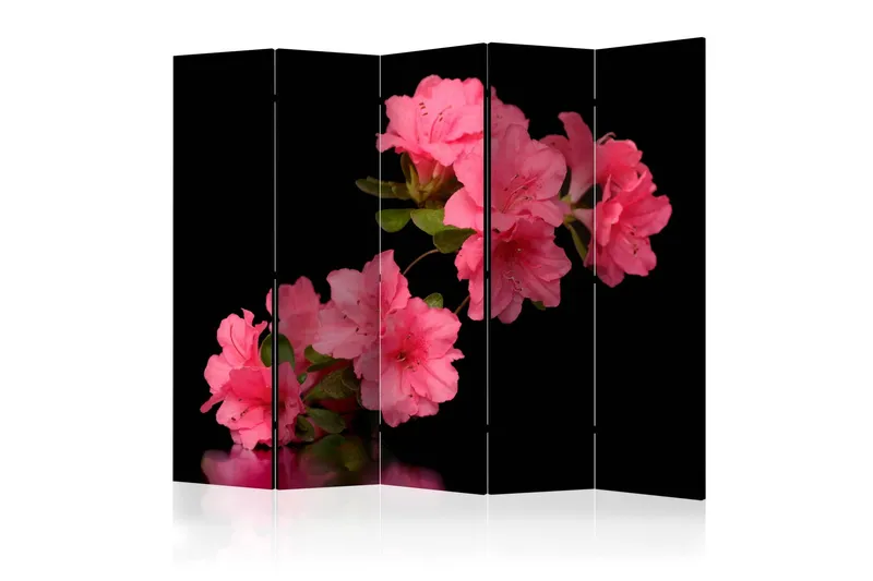 Rumsavdelare Azalea in Black II 225x172 cm - Artgeist sp. z o. o. — Artgeist sp. z o. o.