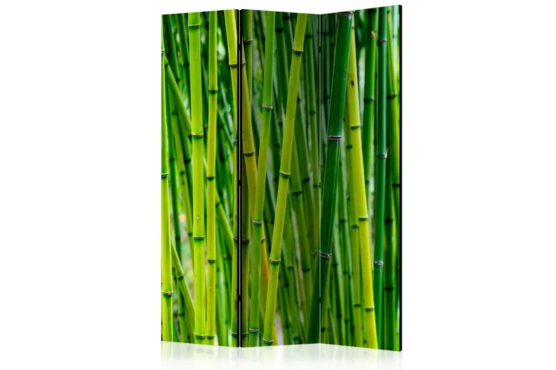 Rumsavdelare Bamboo Forest 135x172 - Artgeist sp. z o. o. — Artgeist sp. z o. o.