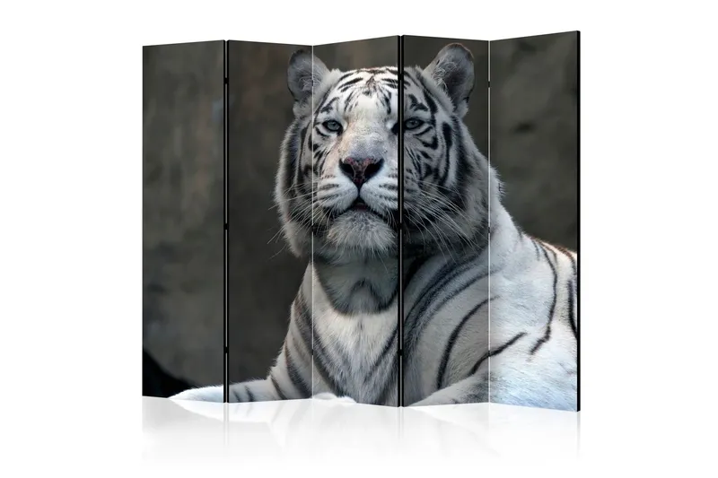 Rumsavdelare - Bengali tiger in zoo II 225x172 - Artgeist sp. z o. o. — Artgeist sp. z o. o.