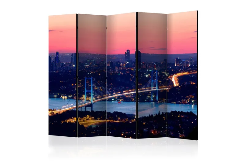 Rumsavdelare Bosphorus Bridge II 225x172 cm - Artgeist sp. z o. o. — Artgeist sp. z o. o.