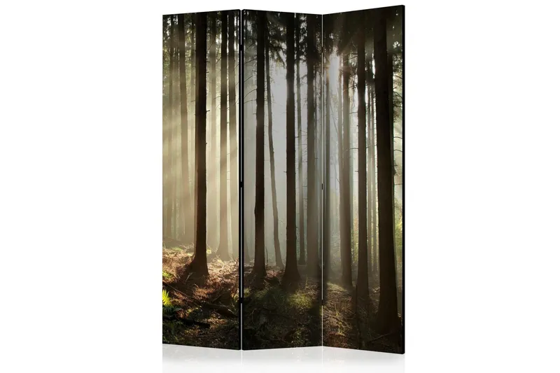Rumsavdelare Coniferous Forest 135x172 cm - Artgeist sp. z o. o. — Artgeist sp. z o. o.