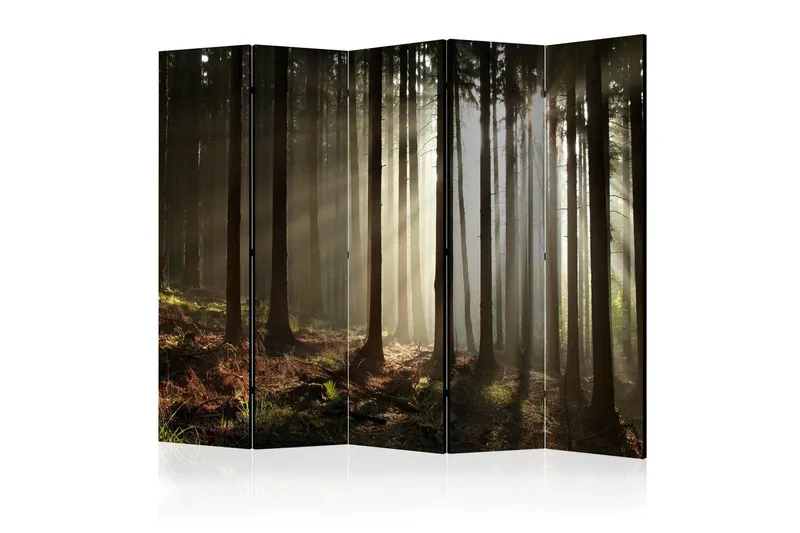 Rumsavdelare Coniferous Forest II 225x172 cm - Artgeist sp. z o. o. (Art.nr 646382) — Artgeist sp. z o. o.