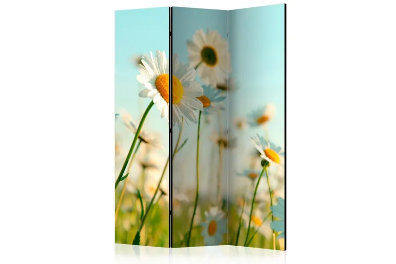 Rumsavdelare - Daisies - spring meadow 135x172 - Artgeist sp. z o. o. — Artgeist sp. z o. o.