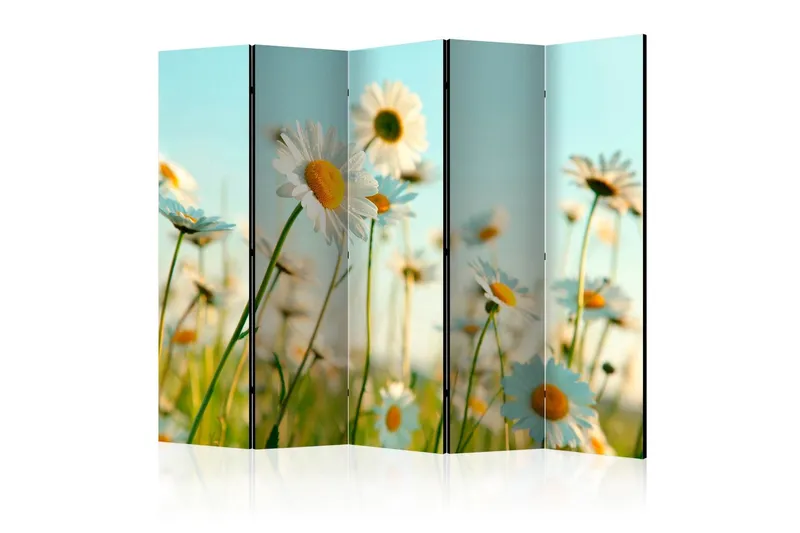 Rumsavdelare - Daisies - spring meadow II 225x172 - Artgeist sp. z o. o. — Artgeist sp. z o. o.