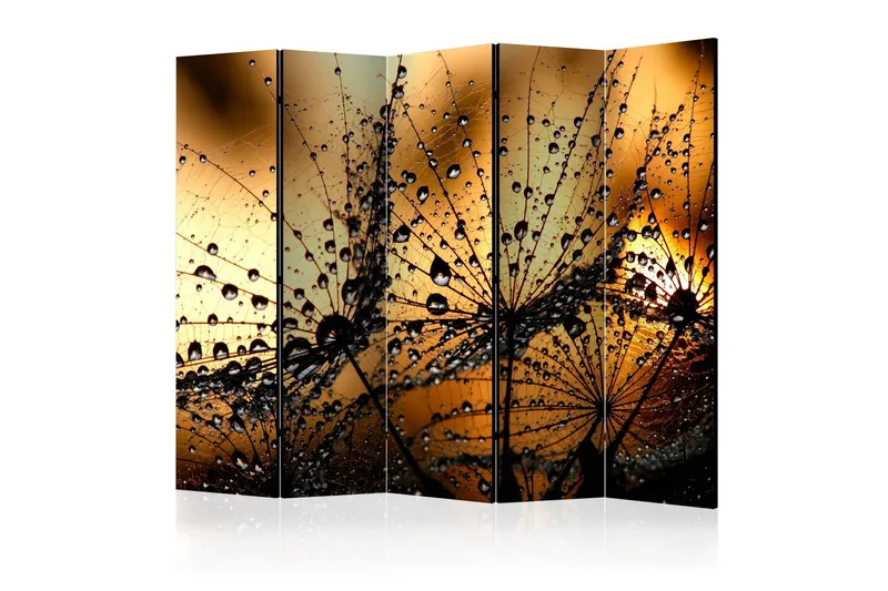 Rumsavdelare Dandelions In The Rain 225x172 - Artgeist sp. z o. o. — Artgeist sp. z o. o.