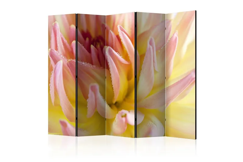 Rumsavdelare - Pastel colored dahlia flower 225x172 - Artgeist sp. z o. o. — Artgeist sp. z o. o.