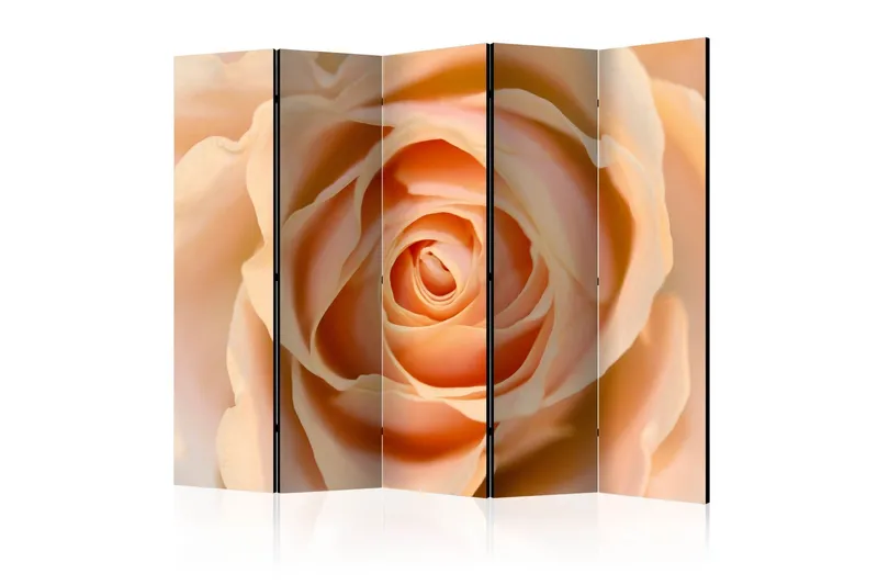 Rumsavdelare - Peach-colored rose II 225x172 - Artgeist sp. z o. o. — Artgeist sp. z o. o.