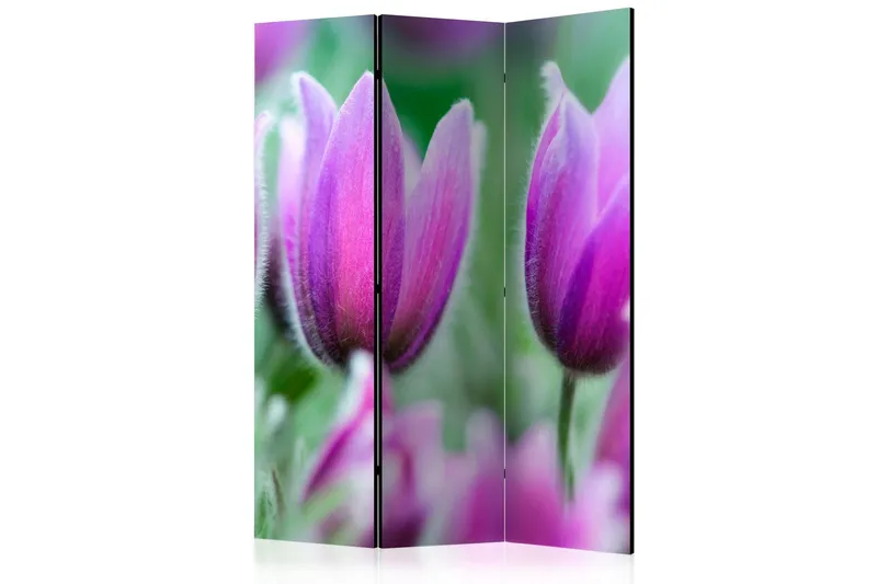 Rumsavdelare Purple Spring Tulips 135x172 cm - Artgeist sp. z o. o. — Artgeist sp. z o. o.