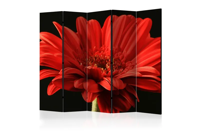 Rumsavdelare - Red gerbera flower II 225x172 - Artgeist sp. z o. o. — Artgeist sp. z o. o.