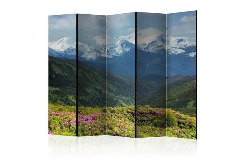 Rumsavdelare - Spring mountain landscape II 225x172 - Artgeist sp. z o. o. — Artgeist sp. z o. o.