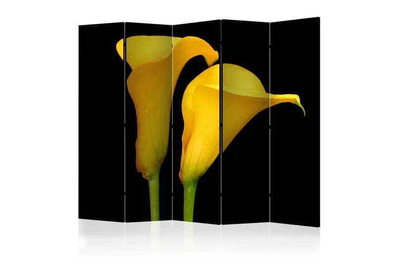 Rumsavdelare - Two yellow calla flowers 225x172 - Artgeist sp. z o. o. — Artgeist sp. z o. o.