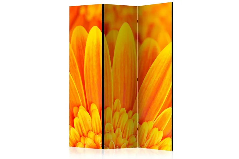 Rumsavdelare - Yellow gerbera daisies 135x172 - Artgeist sp. z o. o. — Artgeist sp. z o. o.