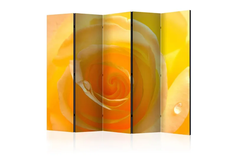 Rumsavdelare - Yellow rose II 225x172 - Artgeist sp. z o. o. — Artgeist sp. z o. o.