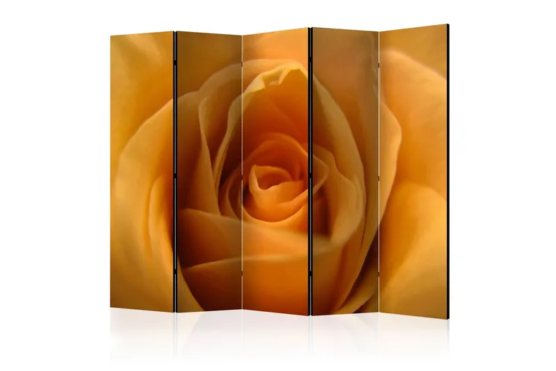 Rumsavdelare - Yellow rose – symbol friendship 225x172 - Artgeist sp. z o. o. — Artgeist sp. z o. o.