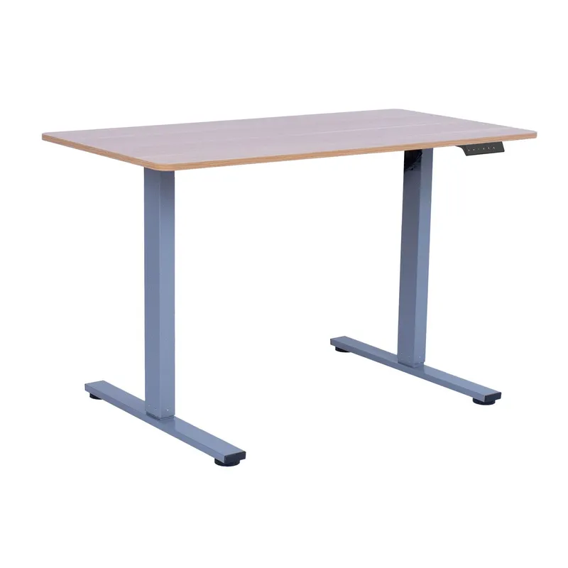 Skrivbord Ergo Fit med 1 motor 120x60x71,5-116 cm - Ek/silvergrå — Ek/silvergrå